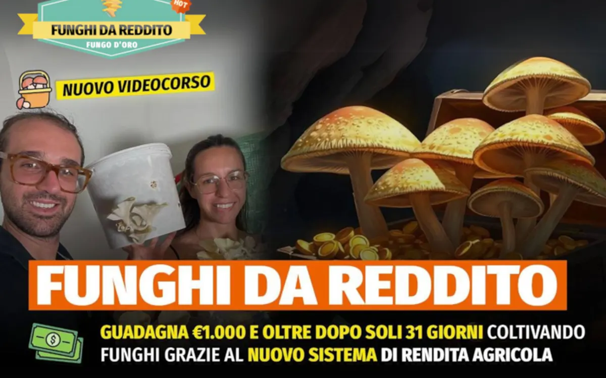 Download Funghi da Reddito – Rendita Agricola