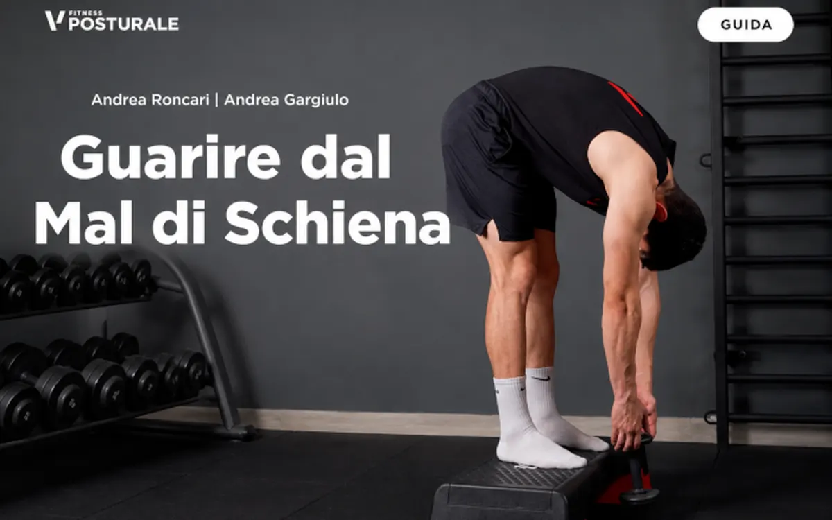 Download Guarire dal Mal di Schiena – Project InVictus