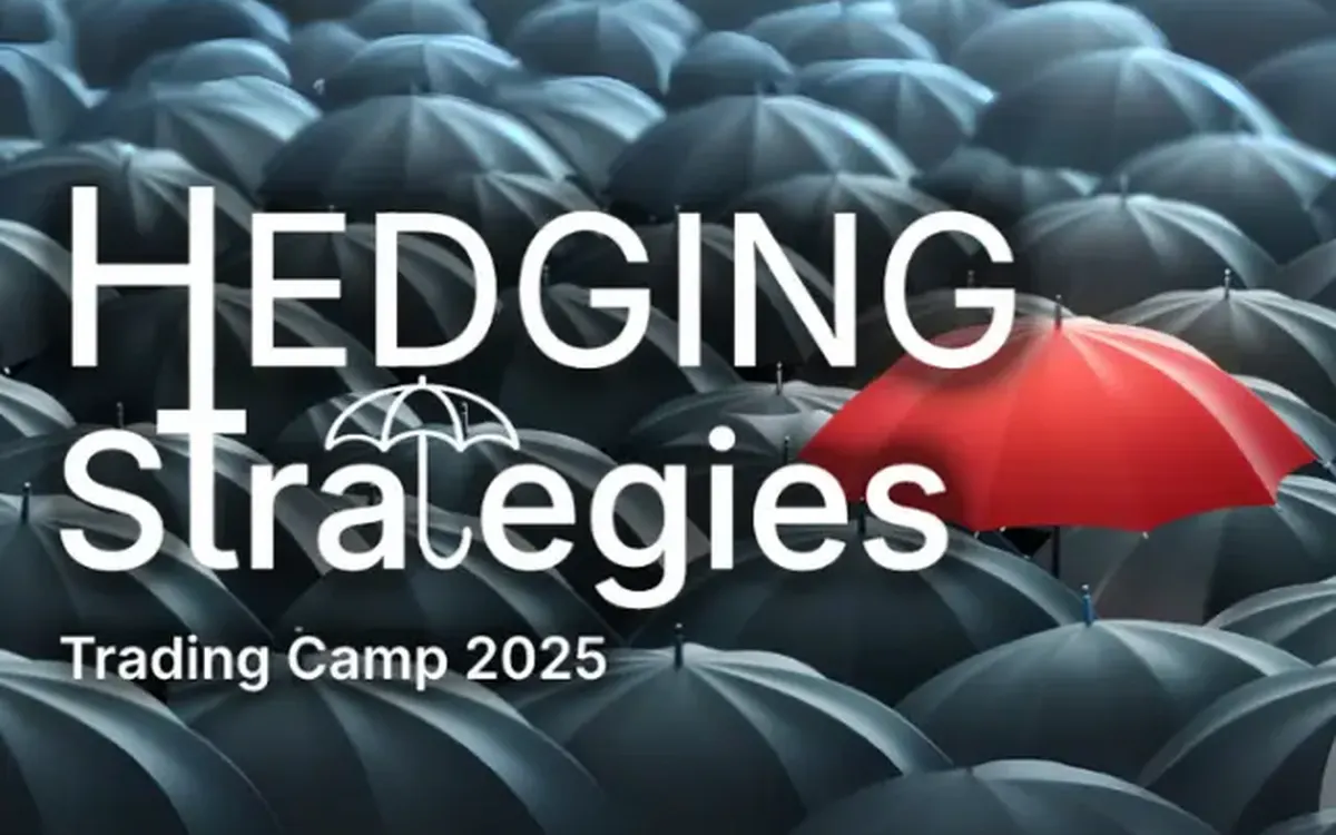 Download Hedging Strategies: Strategie di Copertura – QTLab