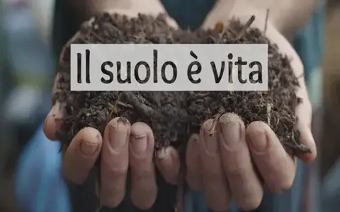 Download Il Suolo è Vita – Bosco di Ogigia