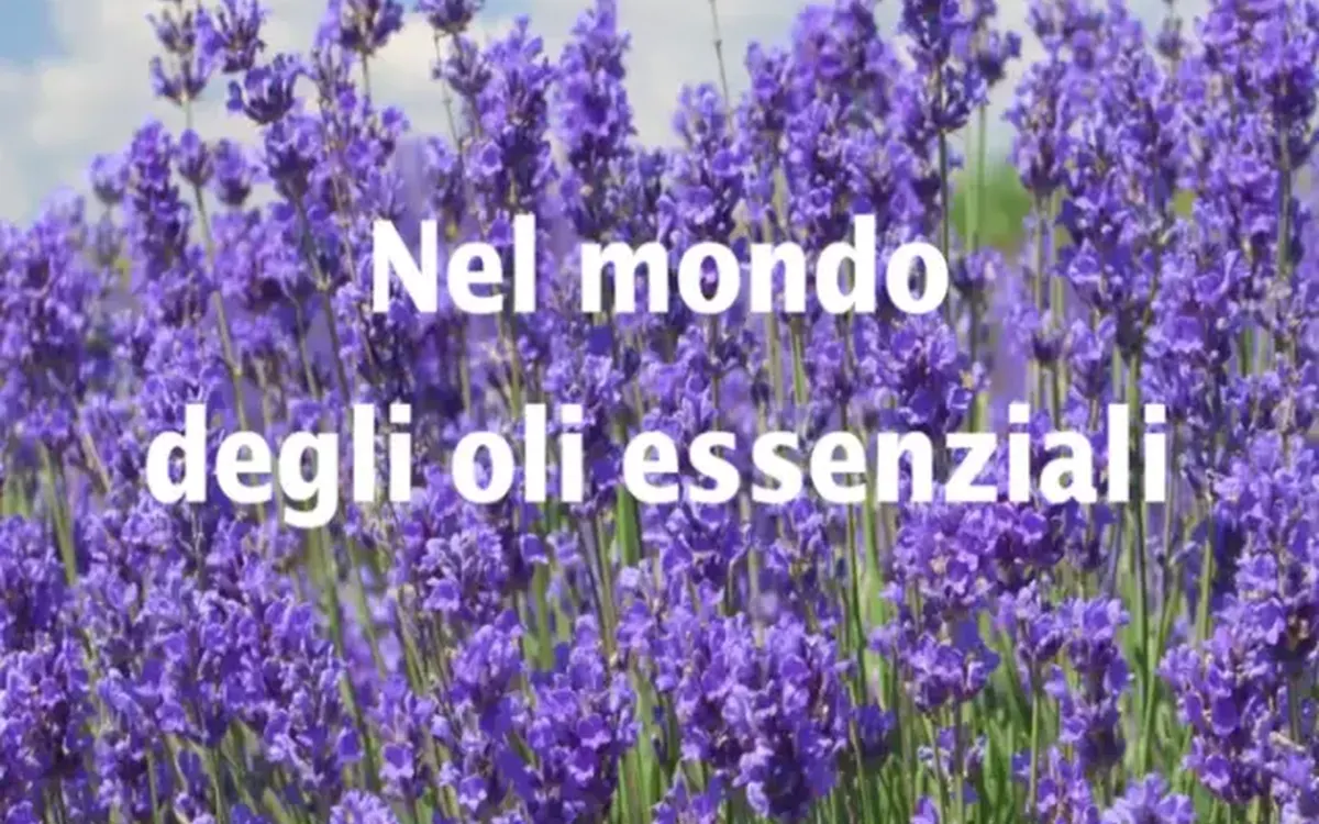 Download Nel mondo degli oli essenziali – Bosco di Ogigia