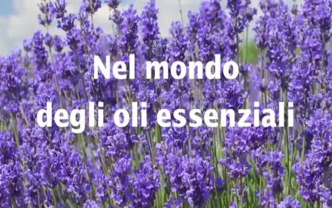 Download Nel mondo degli oli essenziali – Bosco di Ogigia