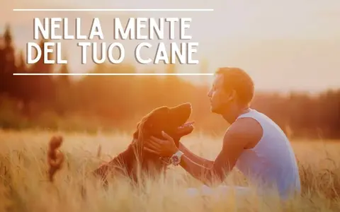 Download Nella Mente del tuo Cane – Educazione Cinofila
