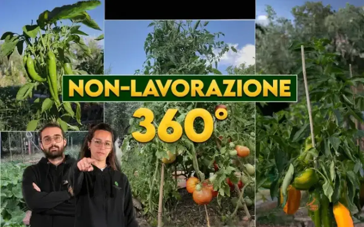 Download Orto Eterno: Non Lavorazione 360° – Rendita Agricola