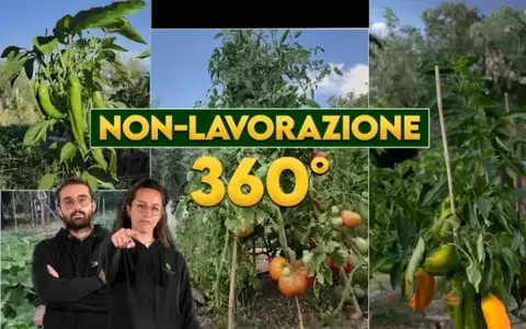 Download Orto Eterno: Non Lavorazione 360° – Rendita Agricola