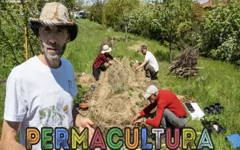 Download Permacultura – Bosco di Ogigia