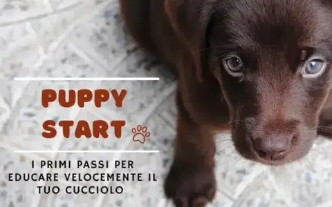 Download Puppy Start – Educazione Cinofila