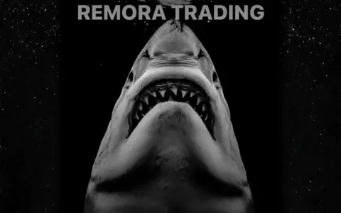 Download Remora Trading – Luigi Remoratrading