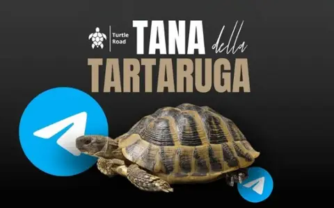 Download Tana della Tartaruga – Federico Ronzoni