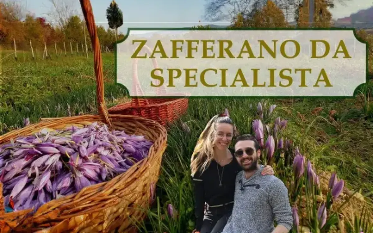 Download Zafferano Da Specialista – Rendita Agricola